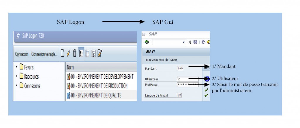 Comment se connecter à SAP ?