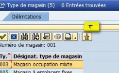 match code SAP : trucs et astuces - SAP and co