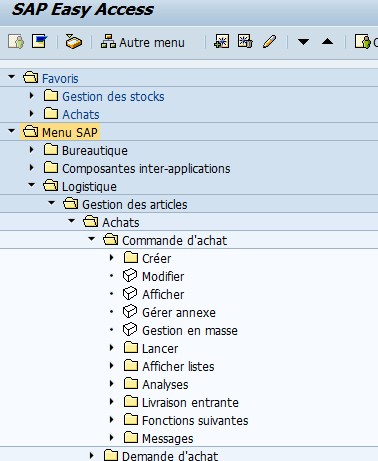 Menu SAP achats