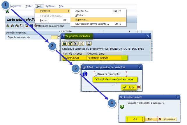 Formation variantes SAP 