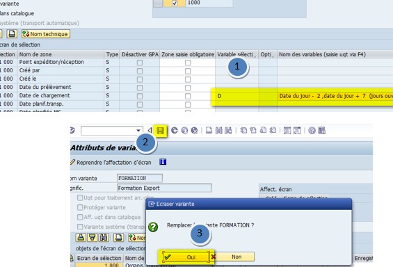 SAP variante transaction VLO6O