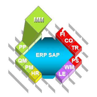 SAP ERP Module MM Gestion des stocks et des achats