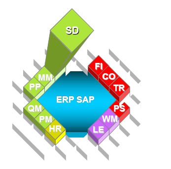 SAP Définition simple module SD (Ventes et expéditions)