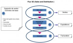 SAP - Module SD - Flux vente et expédition