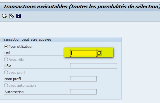 SAP SUIM transactions pour utilisateur