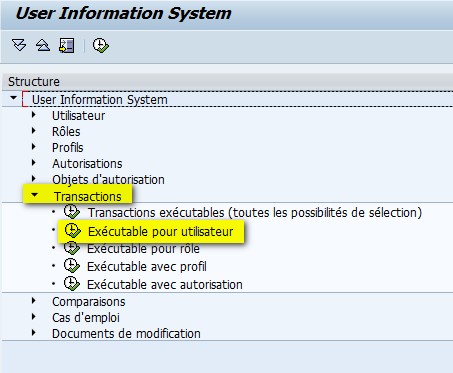 SAP Transaction SUIM