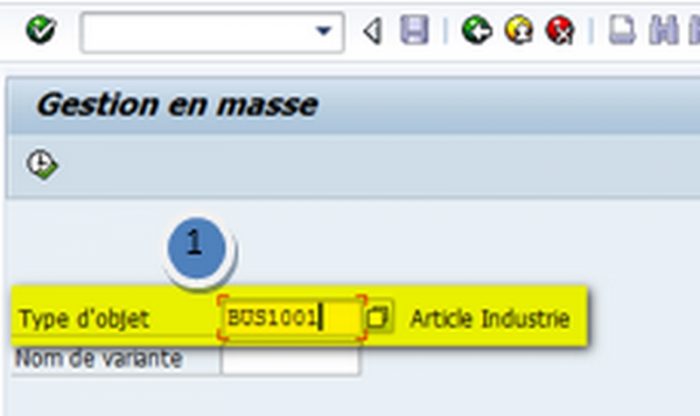 SAP Transaction MASS fiche article