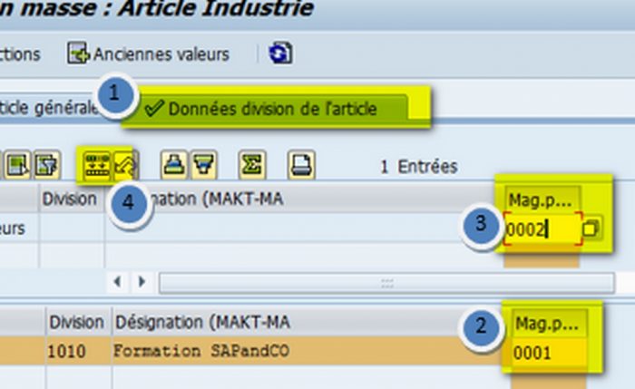 Modification simple et rapide avec la transaction MASS des fiches articles dans SAP