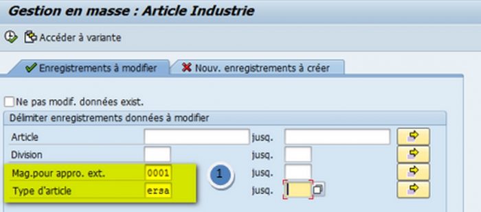 Formation SAP Transaction MASS Fiche article