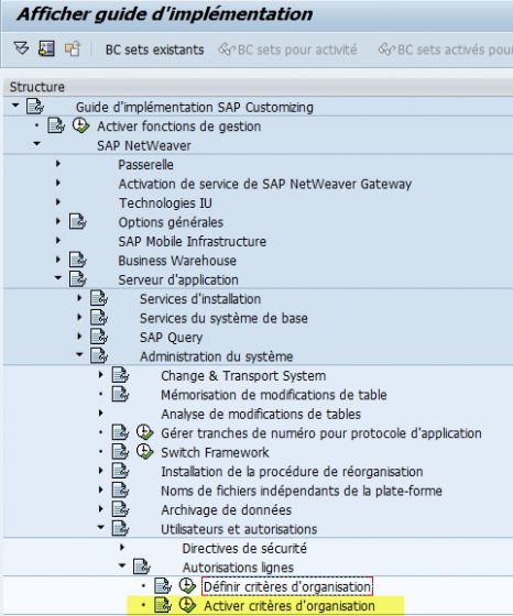 SAP - Activer Critère d'organisation