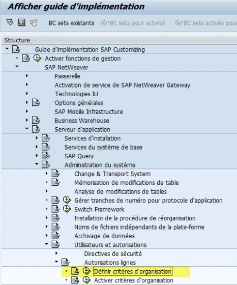 SAP Paramétrage critère organisation