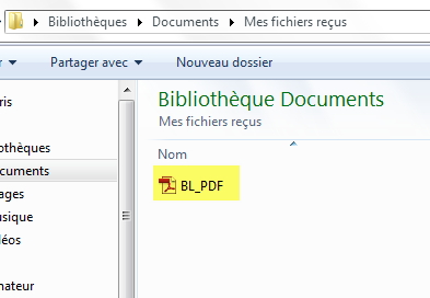 document PDF sous SAP