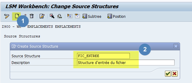 Structure entrée LSMW