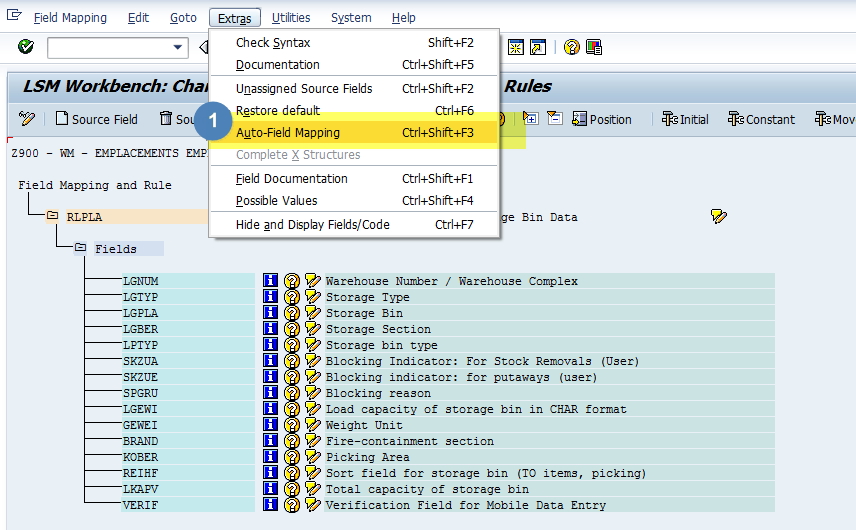 Mapping LSMW SAP