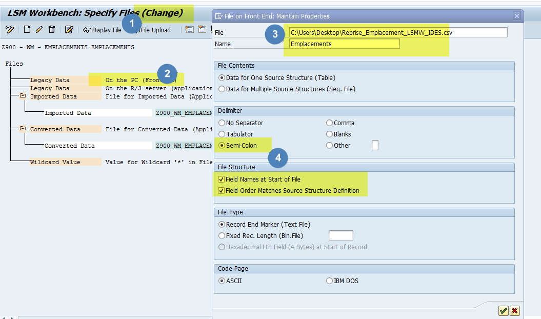 Fichier Excel LSMW SAP