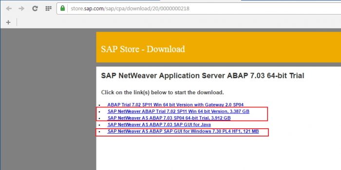 netweaver-25-2-telecharger-netweaver