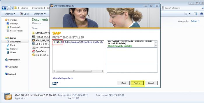 netweaver-51-sap-gui