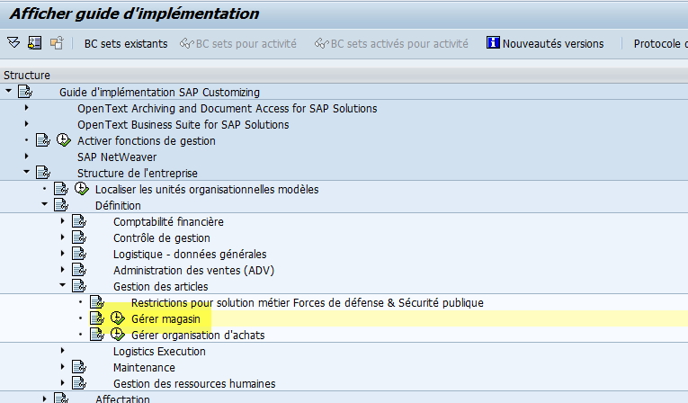Paramétrage magasin MM SAP