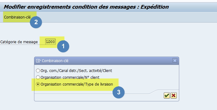 combinaison clé détermination message SAP