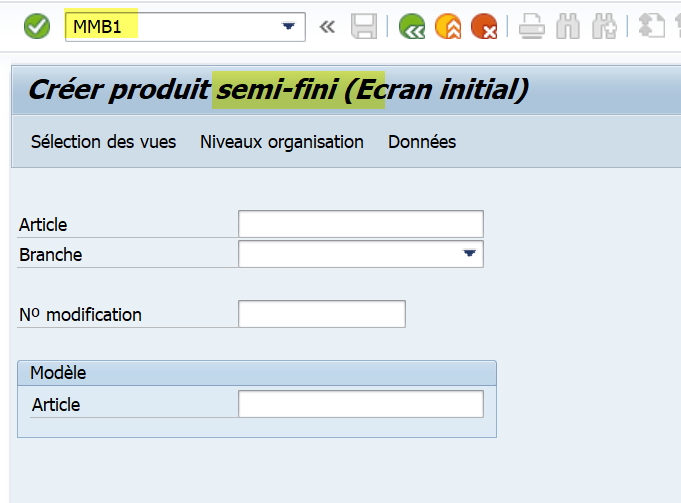 Fiche article SAP personnalisation