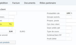groupe client SAP