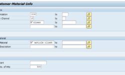 Code article client SAP