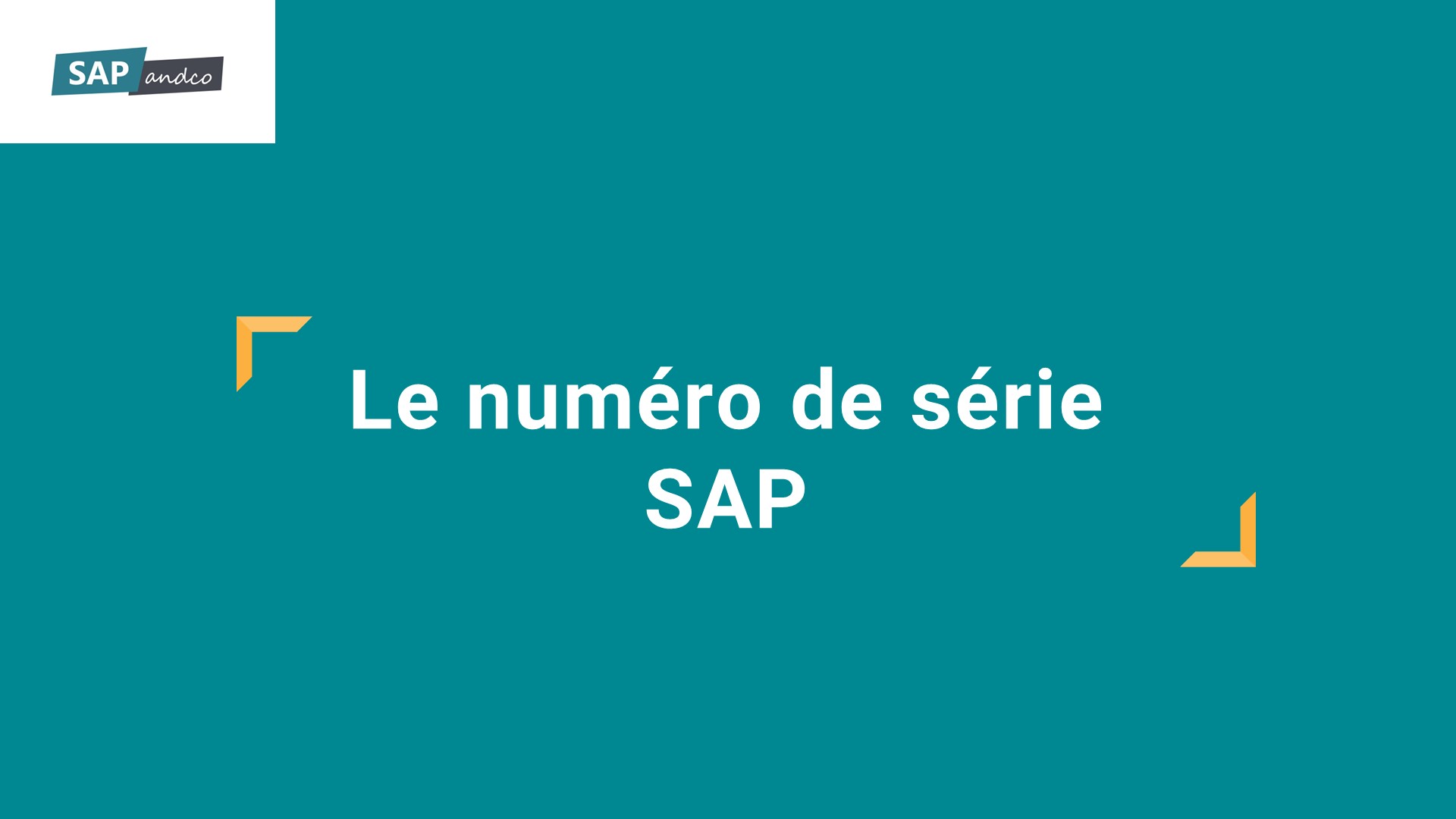 C'est quoi un numéro de série SAP ?