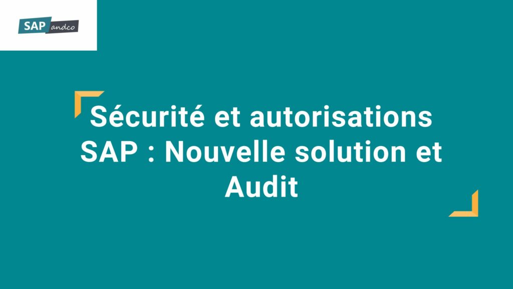 Sécurité et Autorisations SAP : Nouvelle solution et Audit 1 sapandco audit 2 pdf