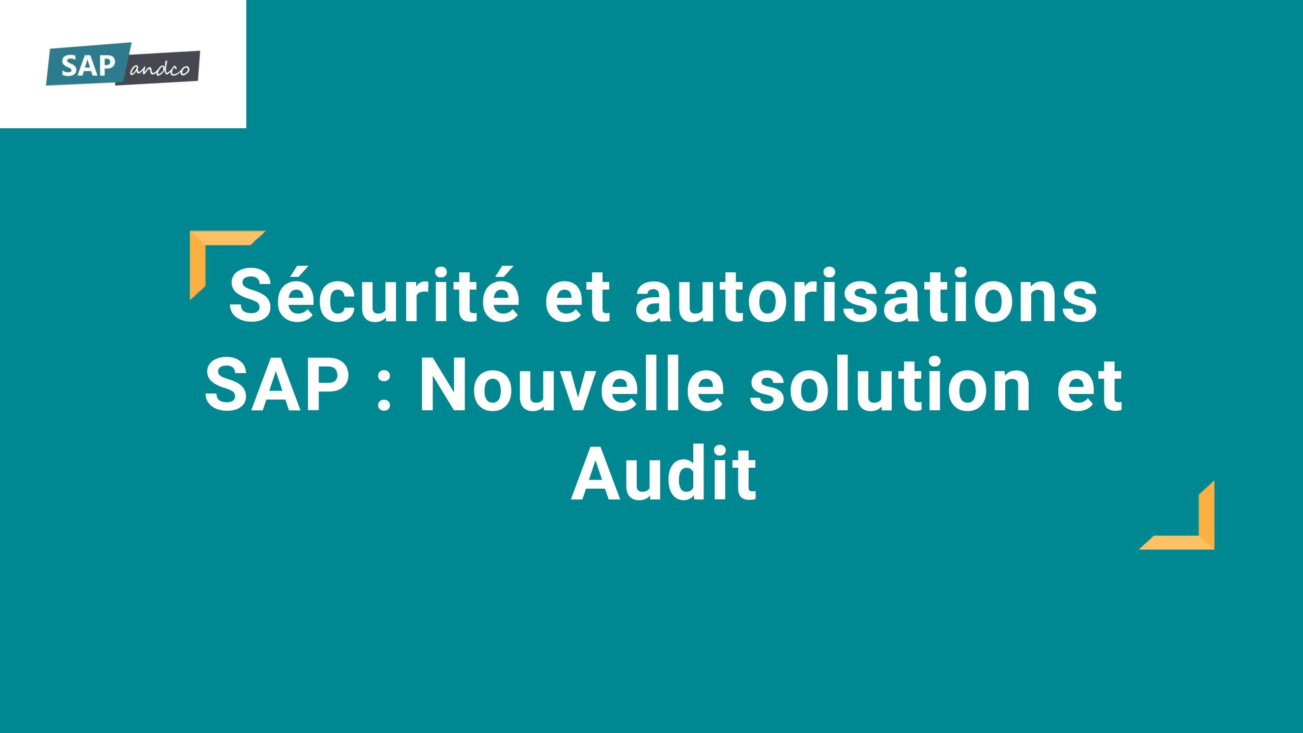 sapandco audit 2 pdf